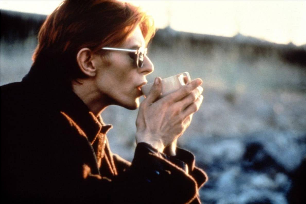 Amazoncom: The Man Who Fell To Earth The Criterion
