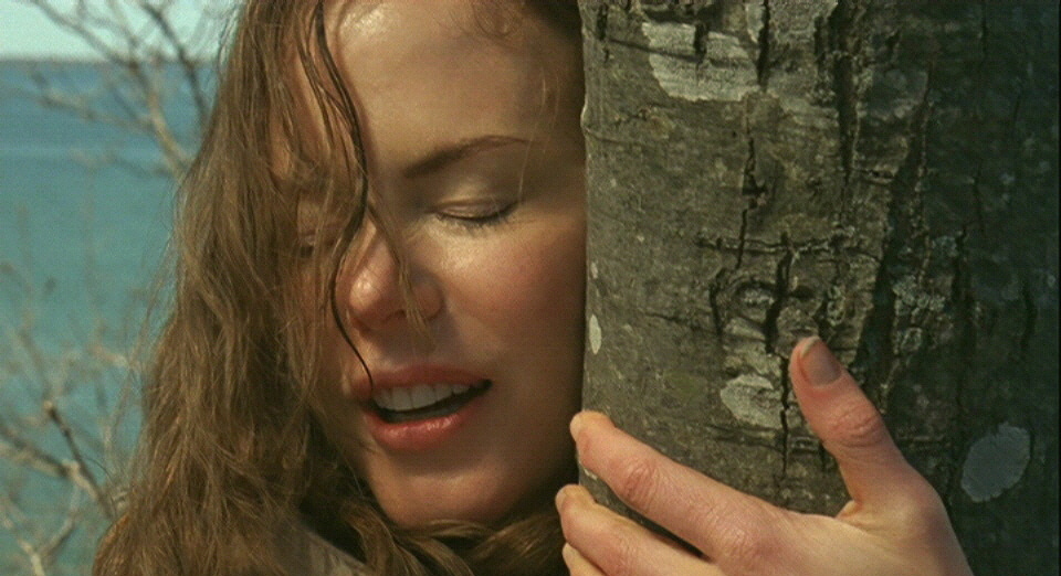 Nicole Kidman Margot at the Wedding (image 2) HeyUGuys