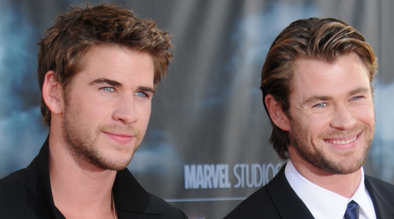 The Hemsworth Brothers The Rise Of A Hollywood Dynasty - it3740z