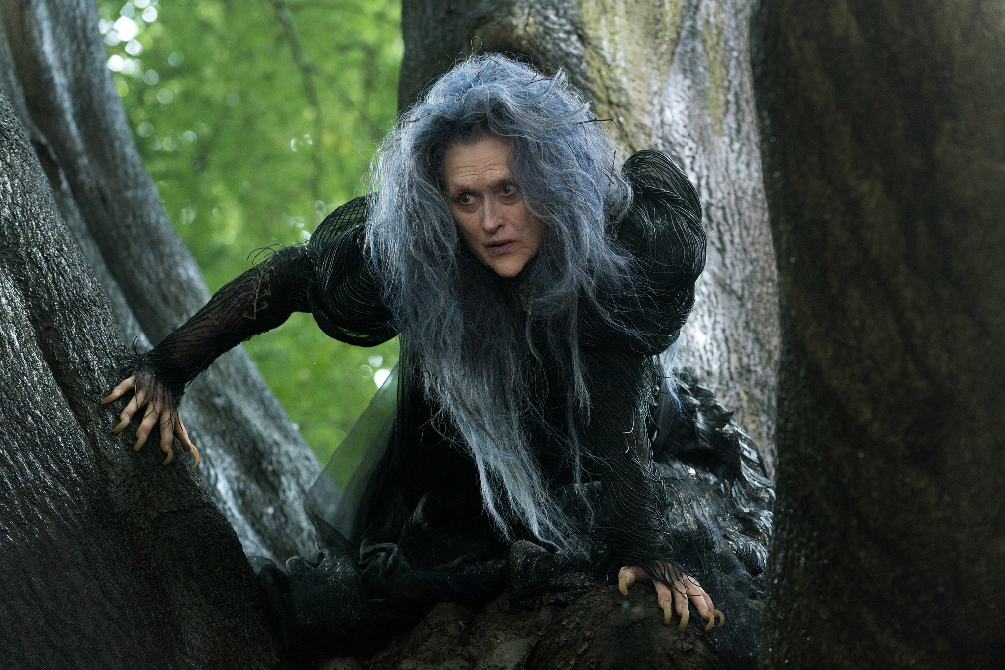 Meryl-Streep-in-Into-the-Woods