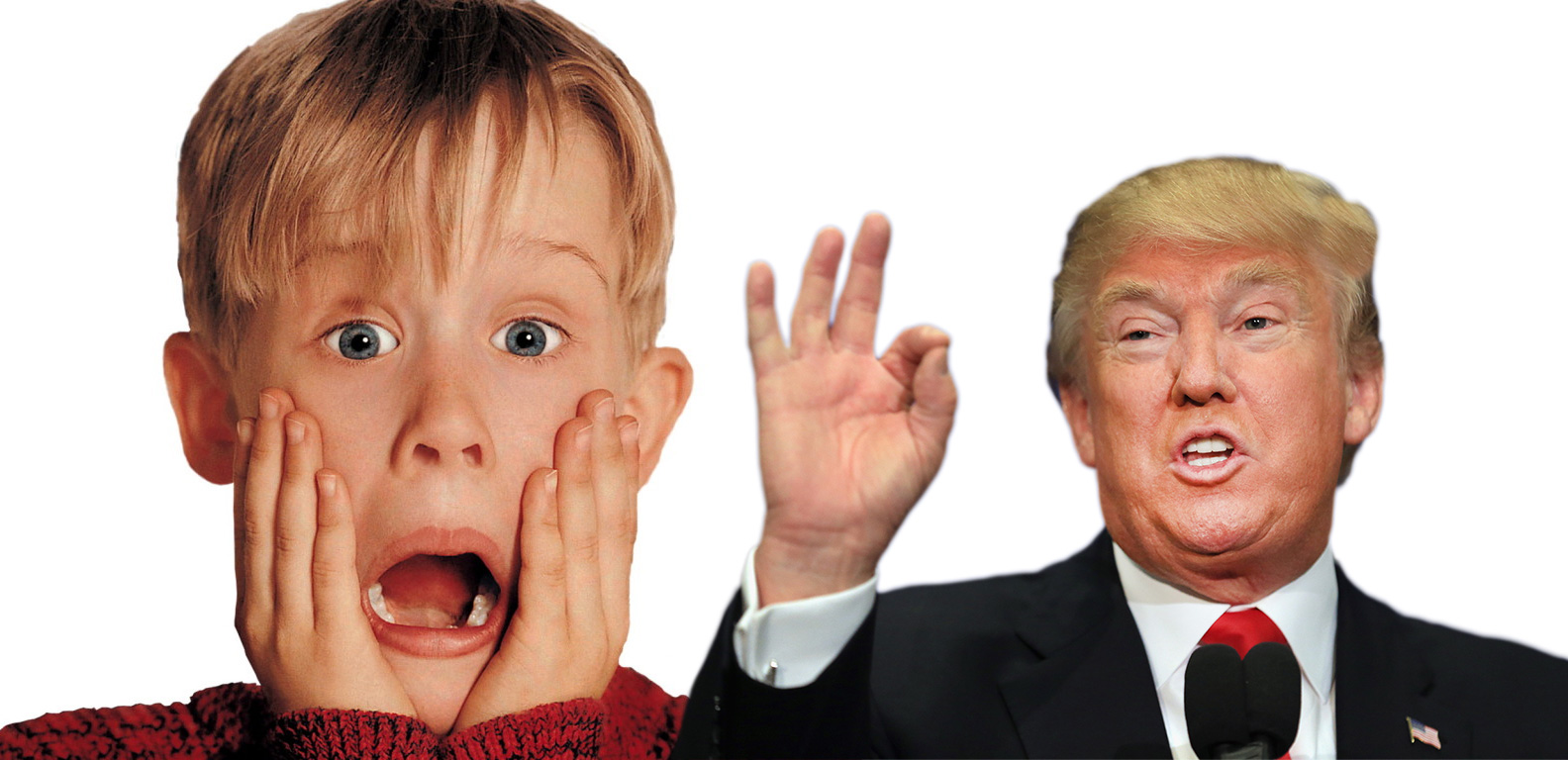 Donald Trump President Movie & TV Reaction G