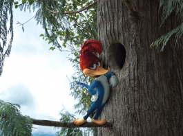 woody-woodpecker-movie