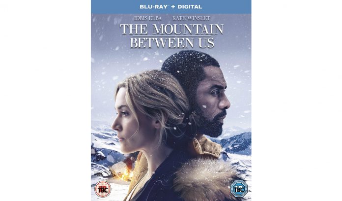 the mountain between us