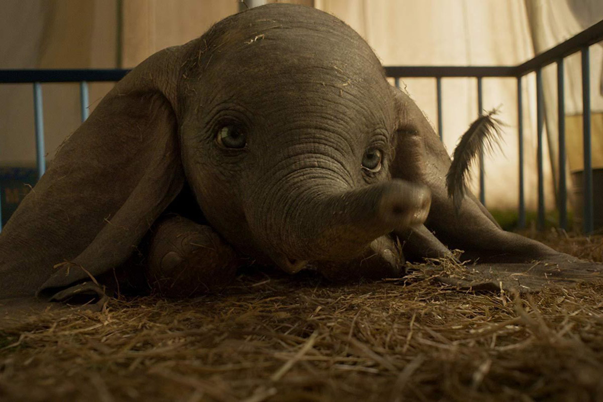 Head to dreamland to witness the magic of Dumbo in new 