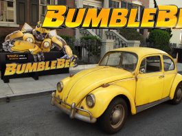 bumblebee-sizzle