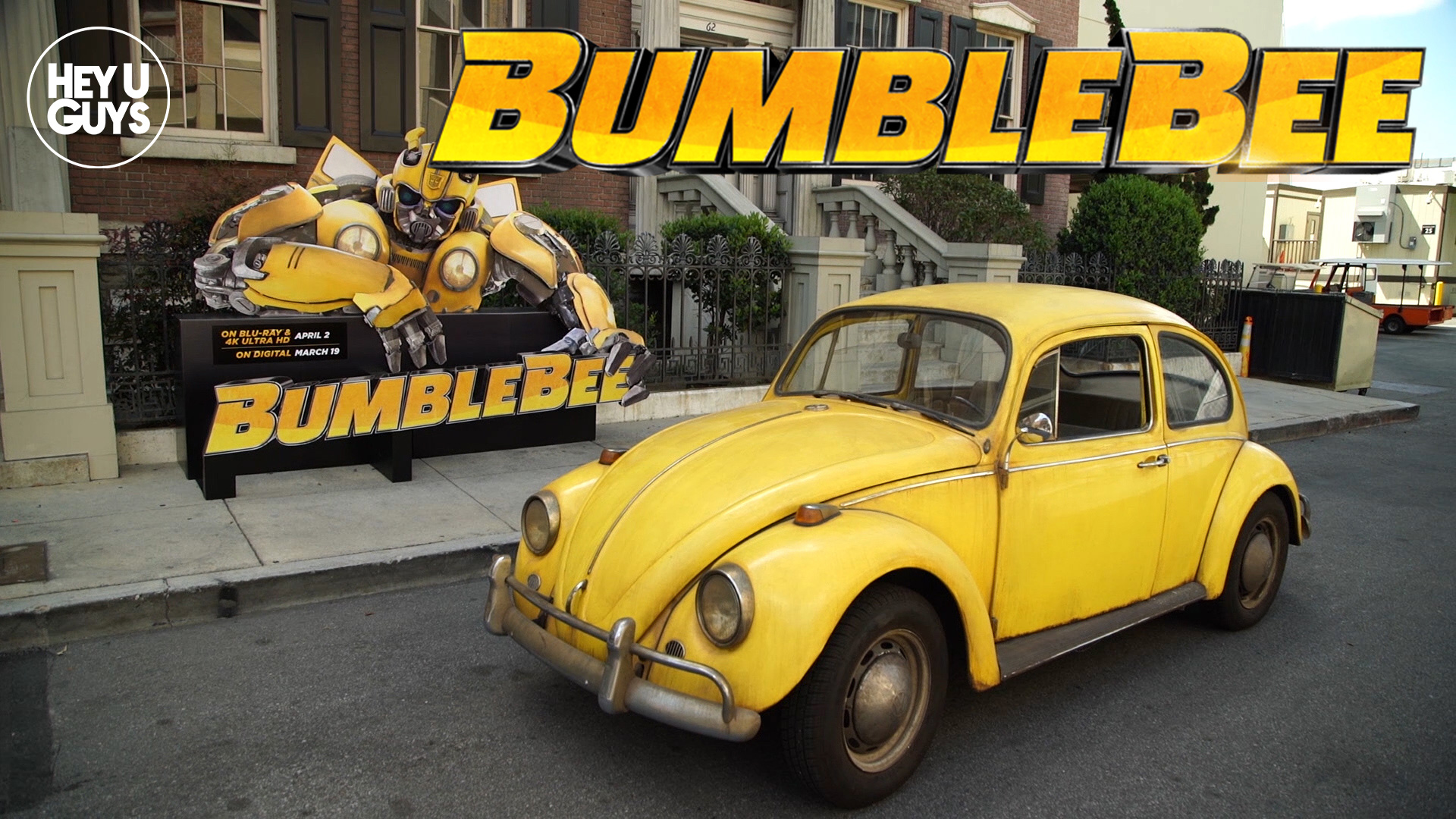 bumblebee-sizzle