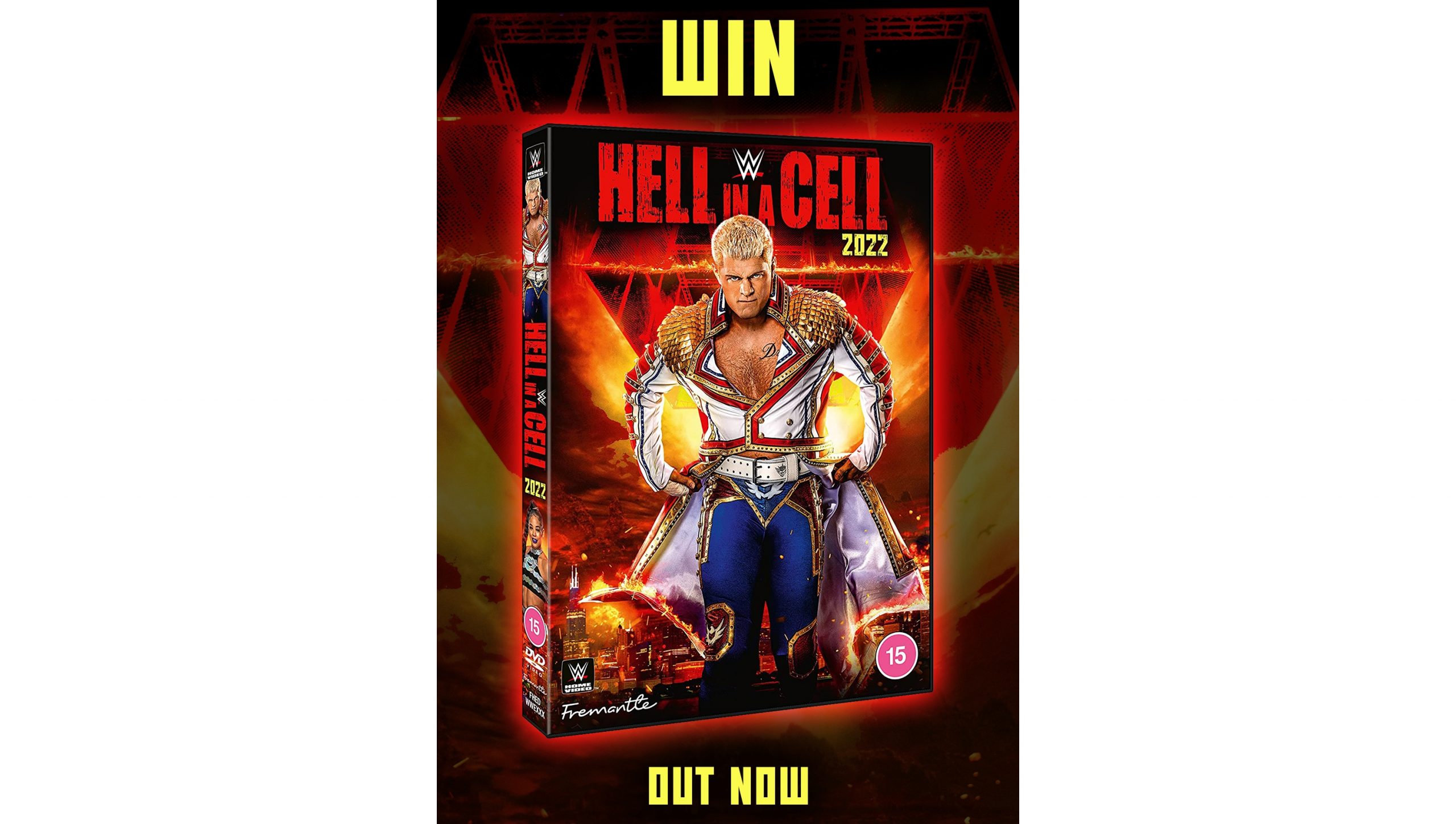 hell in a cell