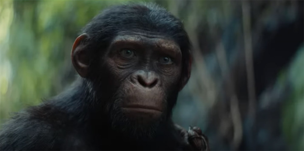 Caeser's son, Cornelius in Kingdom of the Planet of the Apes.
