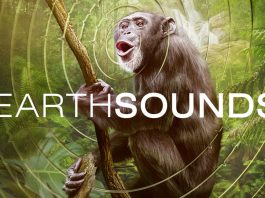 Earthsounds